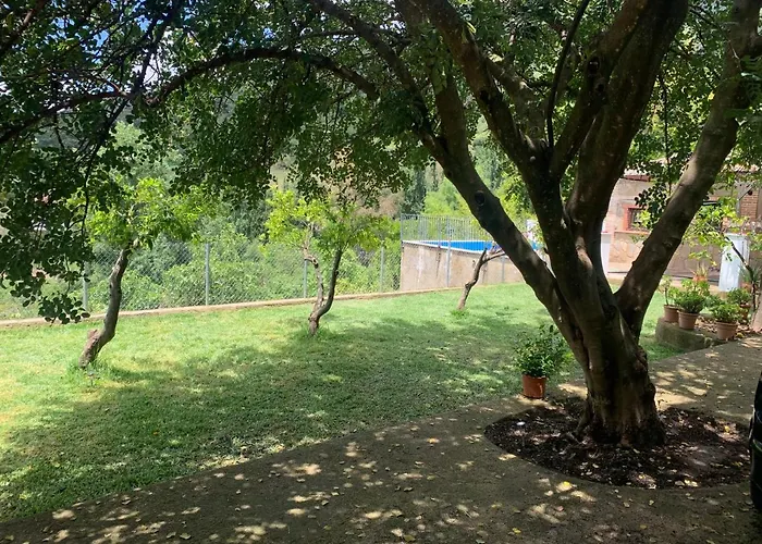 La Fuente De El Nacimiento