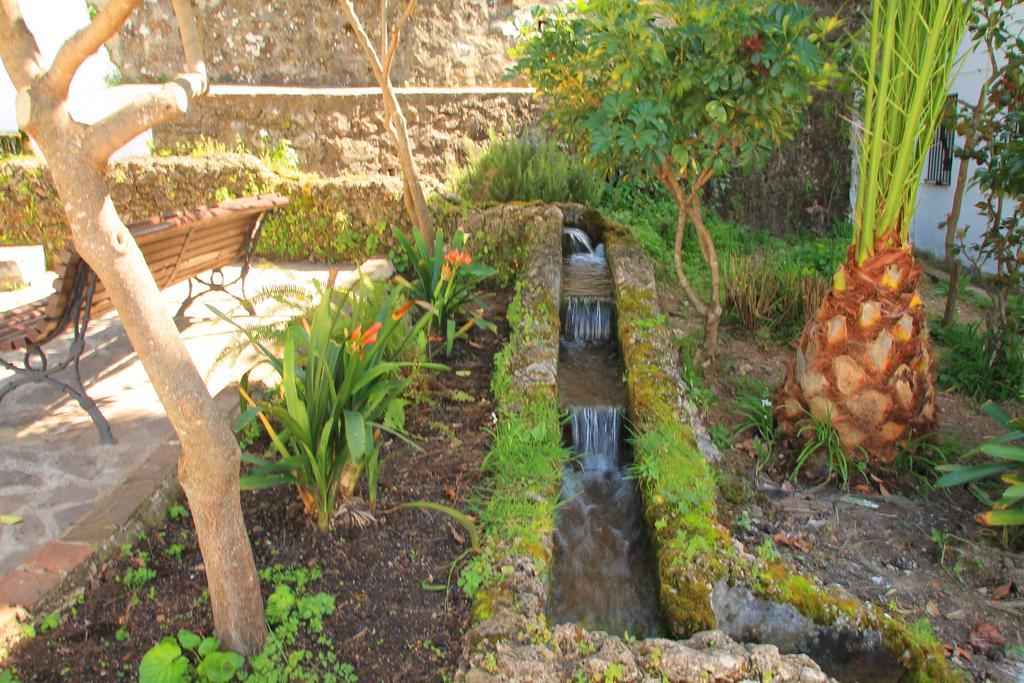 La Fuente De El Nacimiento Benamahoma