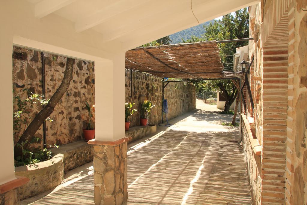 La Fuente De El Nacimiento
