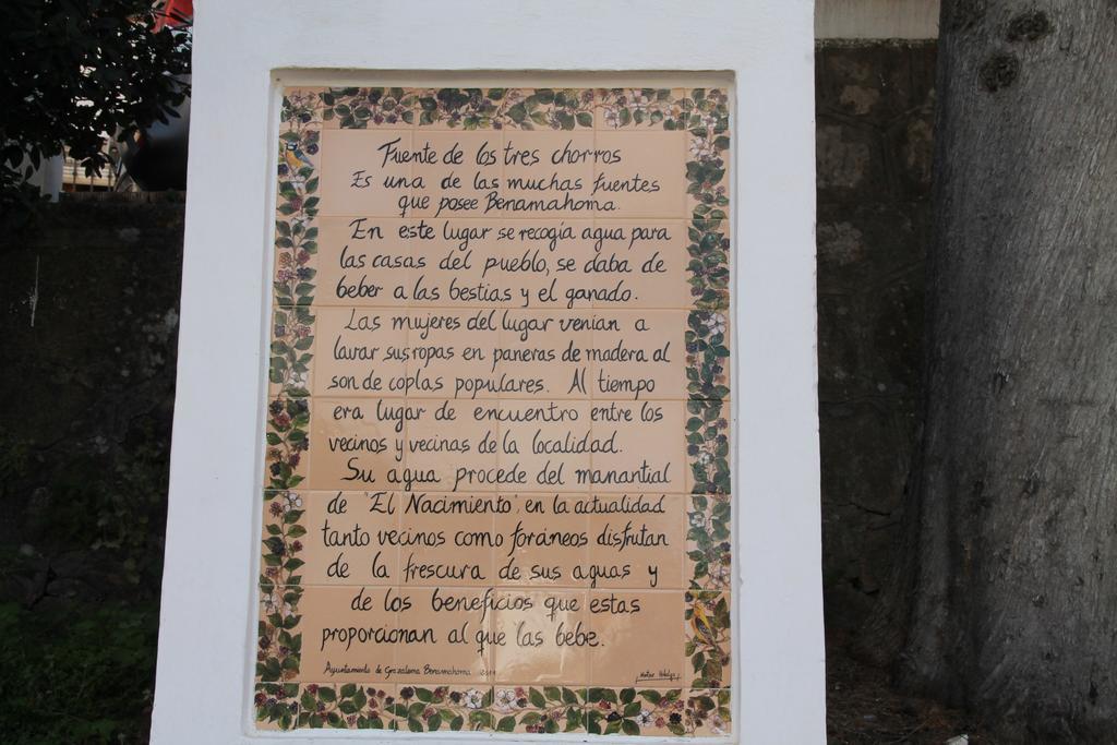 La Fuente De El Nacimiento