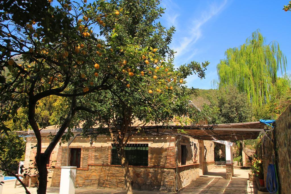 La Fuente De El Nacimiento Benamahoma